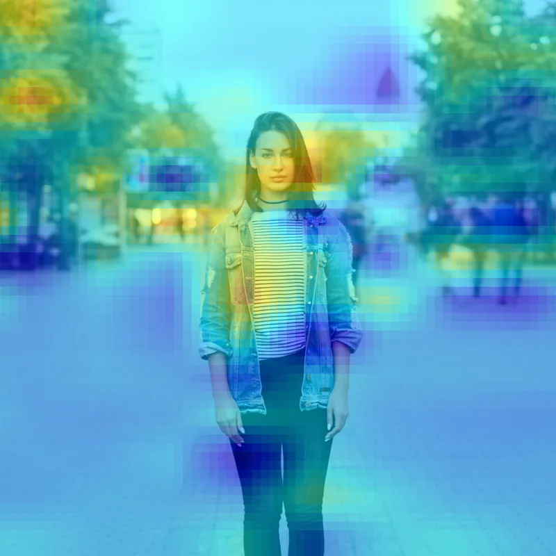 Vision 2: Saliency Map
